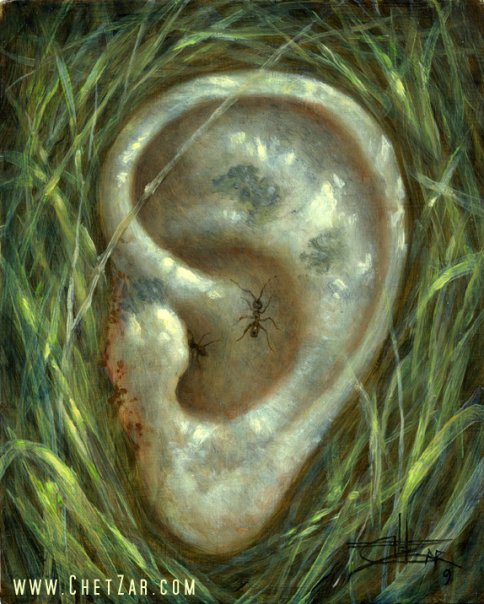 Ear